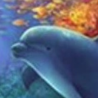 Аквантика-3Д реалистичный аквариум