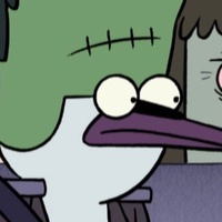 Обычное шоу